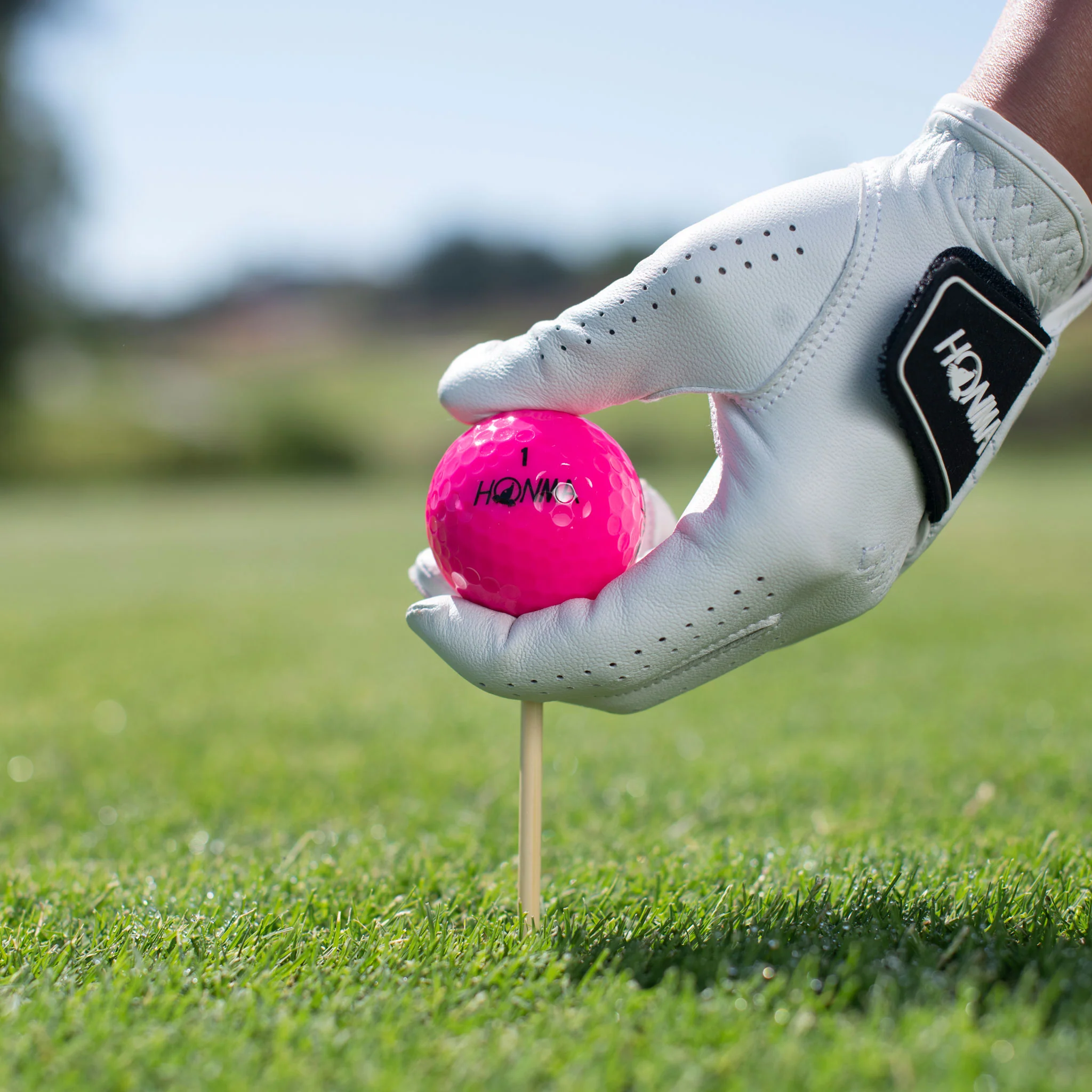 PERFORMANCE LEATHER GLOVE {UNISEX} - Image 5